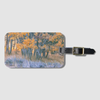 Etiqueta Para Maletas Bosque de Aspens Otoñales Paisaje