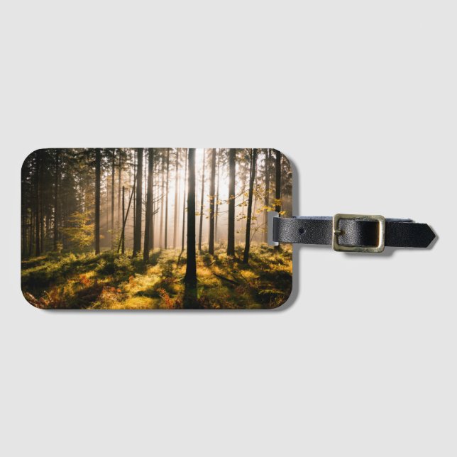Etiqueta Para Maletas Bosque de la caída con Sunrays (Anverso horizontal)