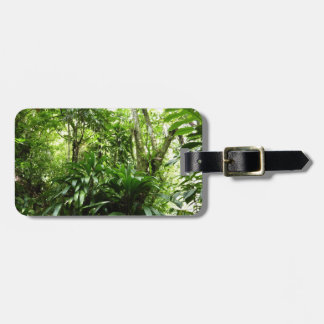 Etiqueta Para Maletas Bosque lluvioso dominicano I Naturaleza tropical v