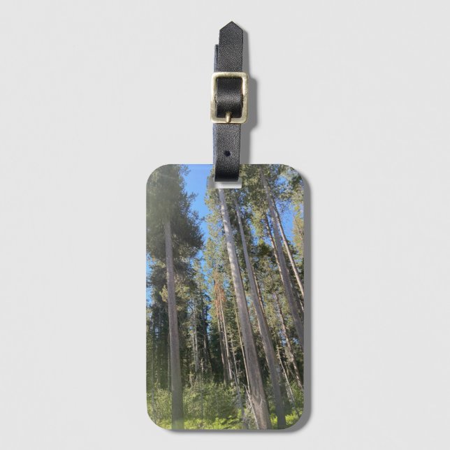 Etiqueta Para Maletas Bosques naturales de árboles (Anverso vertical)