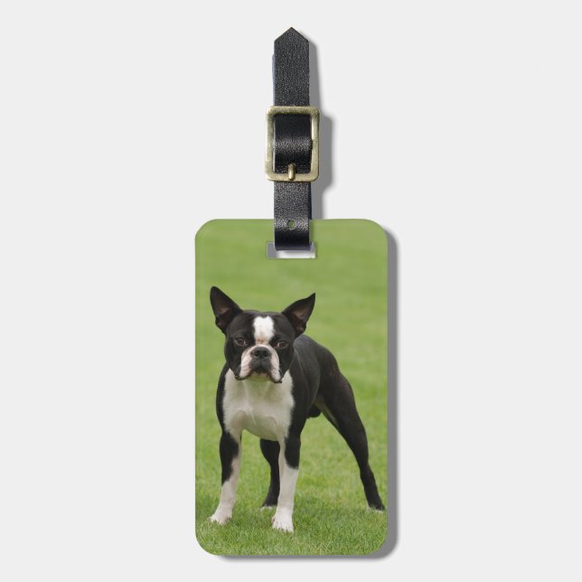 Etiqueta Para Maletas Boston terrier (Frente Vertical)