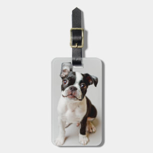 Etiqueta Para Maletas Boston Terrier