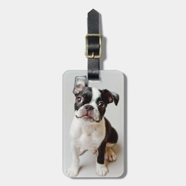 Etiqueta Para Maletas Boston Terrier (Frente Vertical)