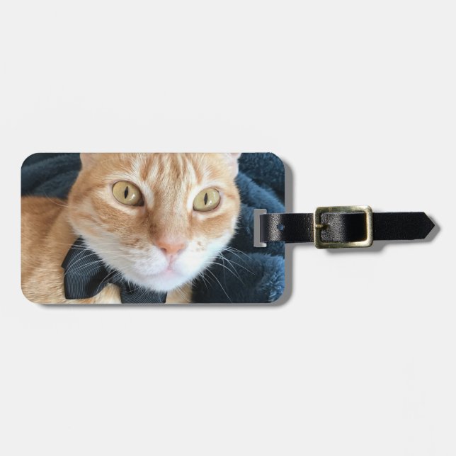 Etiqueta Para Maletas Bow tie cat (Frente Horizontal)