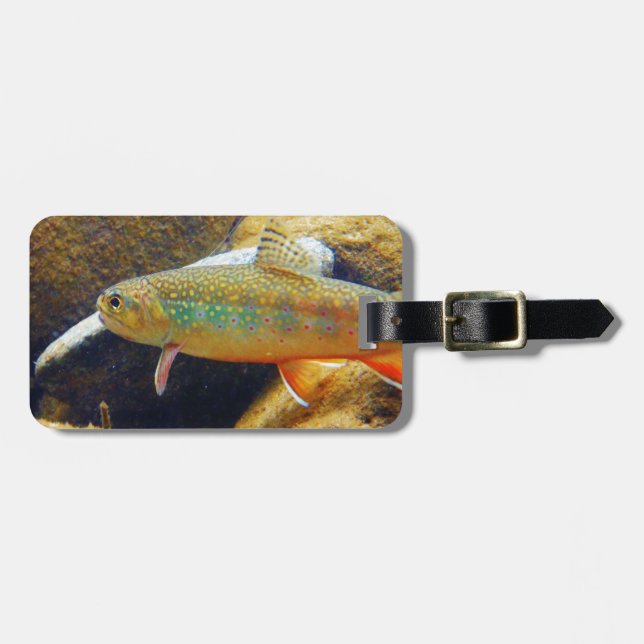 Etiqueta Para Maletas Brook Trout (Frente Horizontal)