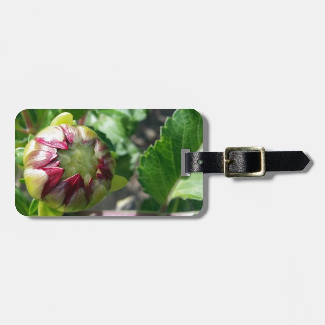 Etiqueta Para Maletas brote de otoño (Frente Horizontal)