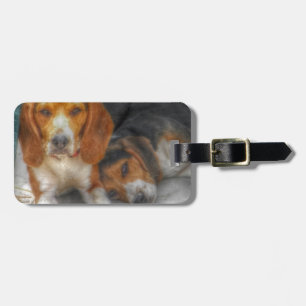 Etiqueta Para Maletas Brother Beagles