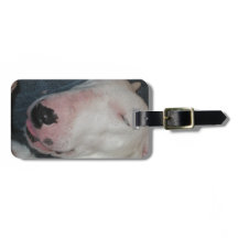 Buenas Noches, Duerme Bien, Perro Tonto