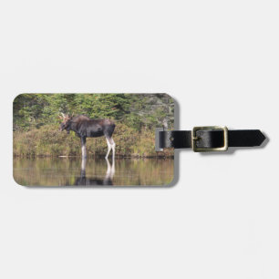 Etiqueta Para Maletas Bull Moose