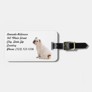 Etiqueta Para Maletas Bulldog blanco de perro lindo