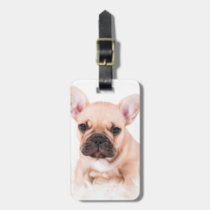 Etiqueta Para Maletas Bulldog francés