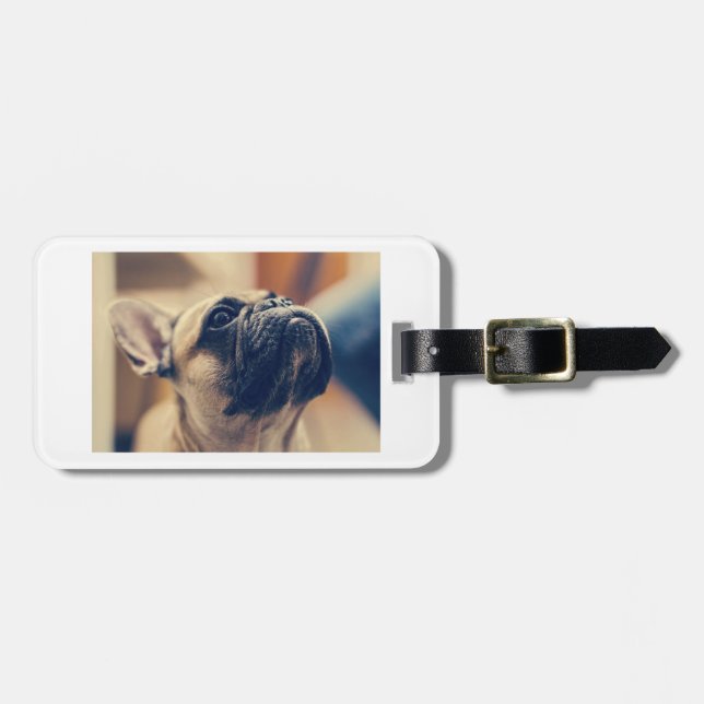 Etiqueta Para Maletas bulldog francés fawn (Frente Horizontal)
