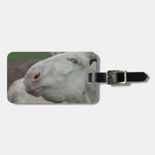 Etiqueta Para Maletas Burro blanco austríaco-húngaro