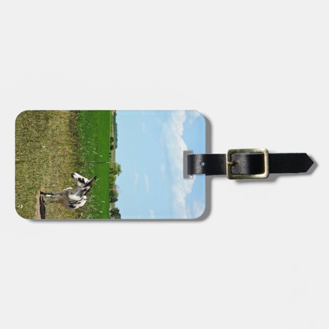 Etiqueta Para Maletas Burro en un campo (Frente Horizontal)