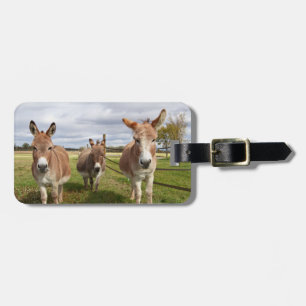 Etiqueta Para Maletas Burro tres