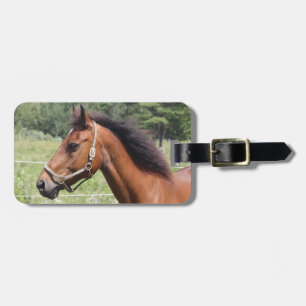 Etiqueta Para Maletas Caballo