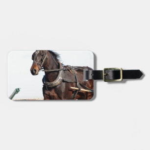 Etiqueta Para Maletas Caballo Amish rural y buggy