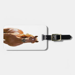 Etiqueta Para Maletas Caballo elegante hermoso de Brown