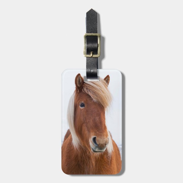 Etiqueta Para Maletas Caballo islandés durante el invierno (Frente Vertical)