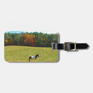Etiqueta Para Maletas Caballo marrón y blanco, árboles de otoño, cielo a