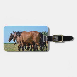 Etiqueta Para Maletas Caballos de bahía hermosos