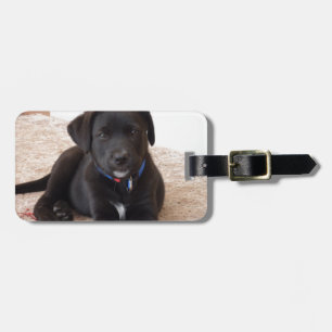 Etiqueta Para Maletas Cachorro de Labrador Negro