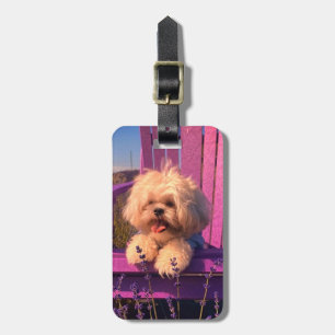 Etiqueta Para Maletas Cachorro Shih Tzu Sonriente, Perro en Silla Morada