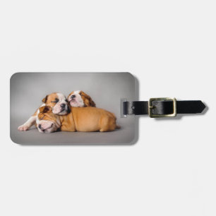 Etiqueta Para Maletas Cachorros de bulldog inglés durmientes