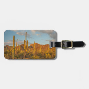 Etiqueta Para Maletas Cactus de Saguaro al atardecer, Arizona