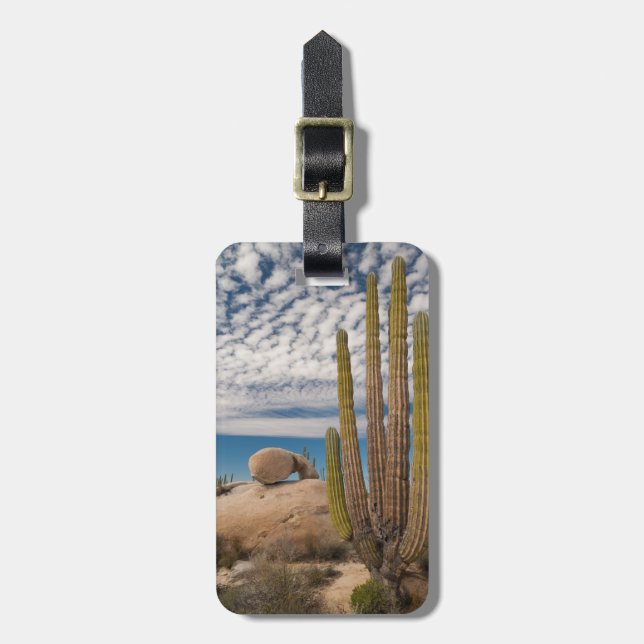 Etiqueta Para Maletas Cactus En Escenario Desértico (Frente Vertical)