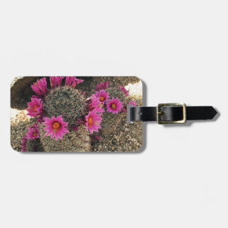 Etiqueta Para Maletas Cactus rosado en la floración