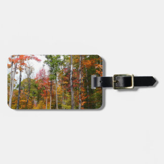 Etiqueta Para Maletas Caída en la colorida fotografía de otoño en el bos