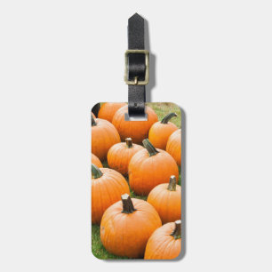Etiqueta Para Maletas Calabazas para la venta en el mercado de un