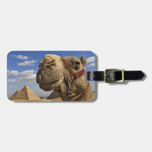 Etiqueta Para Maletas Camello frente a las pirámides de Giza, Egipto,
