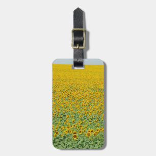 Etiqueta Para Maletas Campo amarillo del girasol