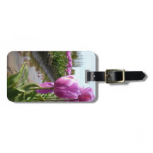 Campos y reflexiones púrpuras del tulipán