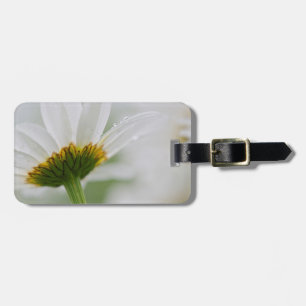 Etiqueta Para Maletas Canadá, Nueva Brunswick,