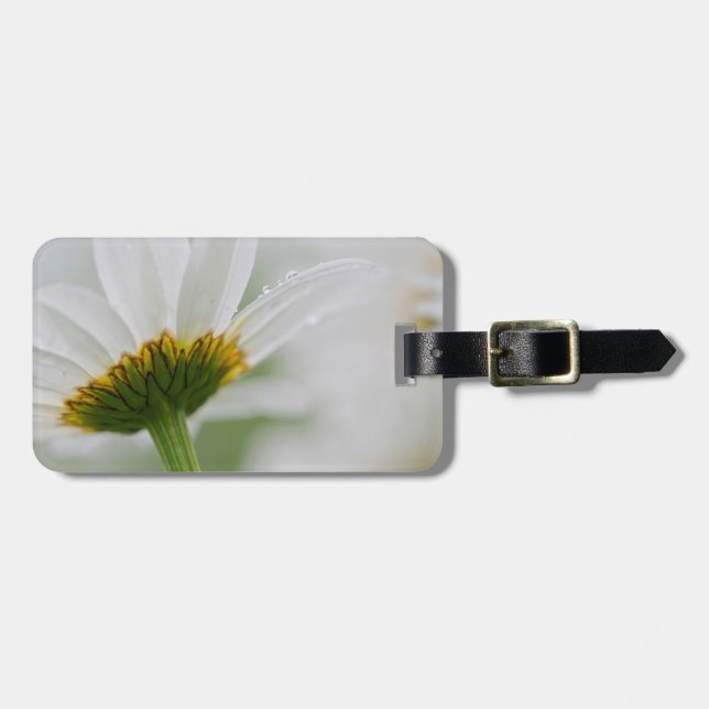 Etiqueta Para Maletas Canadá, Nueva Brunswick, (Frente Horizontal)