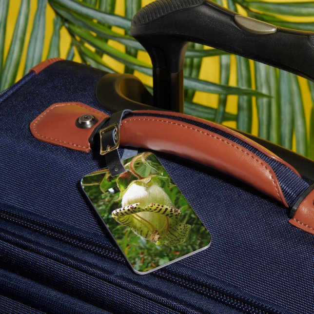 Etiqueta Para Maletas Capanea Grandiflora (Anverso In situ 1)