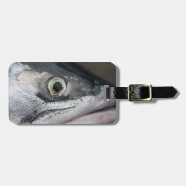 Etiqueta Para Maletas Cara de salmón plateado (Frente Horizontal)