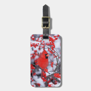 Etiqueta Para Maletas Cardenal norteño macho, Invierno, IL