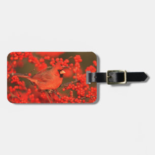 Etiqueta Para Maletas Cardenal rojo del norte macho, IL