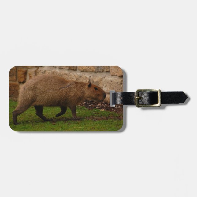 Etiqueta Para Maletas carpincho (Frente Horizontal)