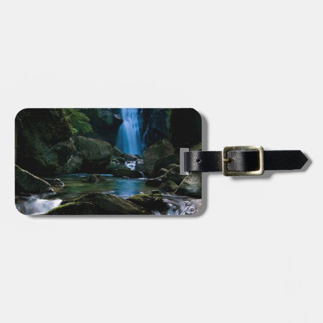 Etiqueta Para Maletas Cascada asombrosa (Frente Horizontal)