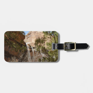 Etiqueta Para Maletas Cascada de Emerald Pool I desde el Parque Nacional