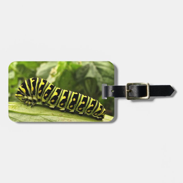 Etiqueta Para Maletas Caterpillar Black Swallowtail (Frente Horizontal)