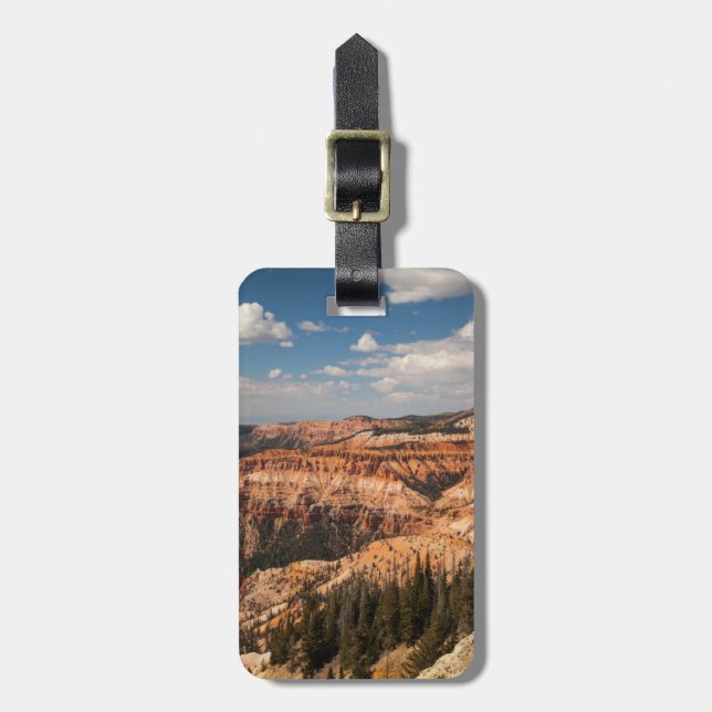Etiqueta Para Maletas Cedar rompe Monumento Nacional, Utah (Frente Vertical)