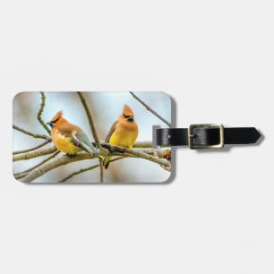 Etiqueta Para Maletas Cedar Waxwing - Fotografía original