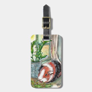 Etiqueta Para Maletas Cerdo guineano cerca de la ventana