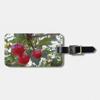 Etiqueta Para Maletas Cerezas de Michigan